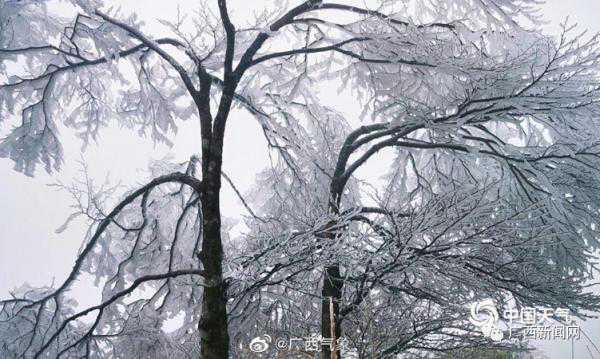 广西桂东北局地有霜冻或冰冻，电暖器价格微涨，你买好了吗？