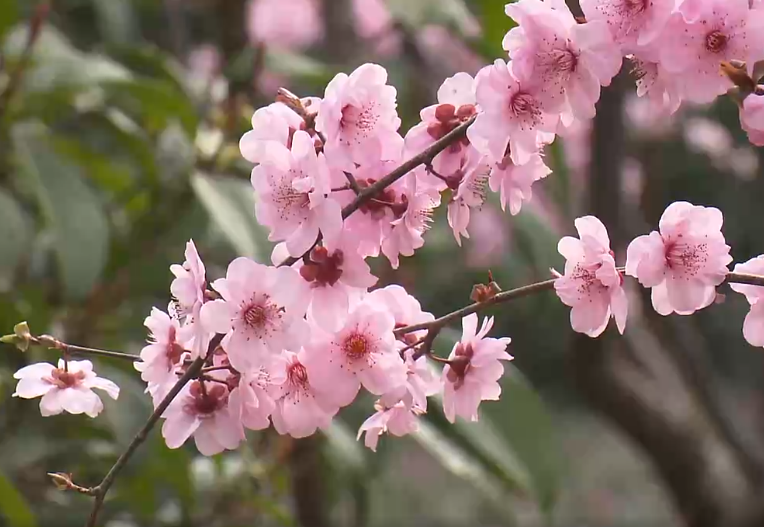 我家晚饭特简单，花30元做一锅羊肉白菜粉丝汤，全家吃得暖暖的