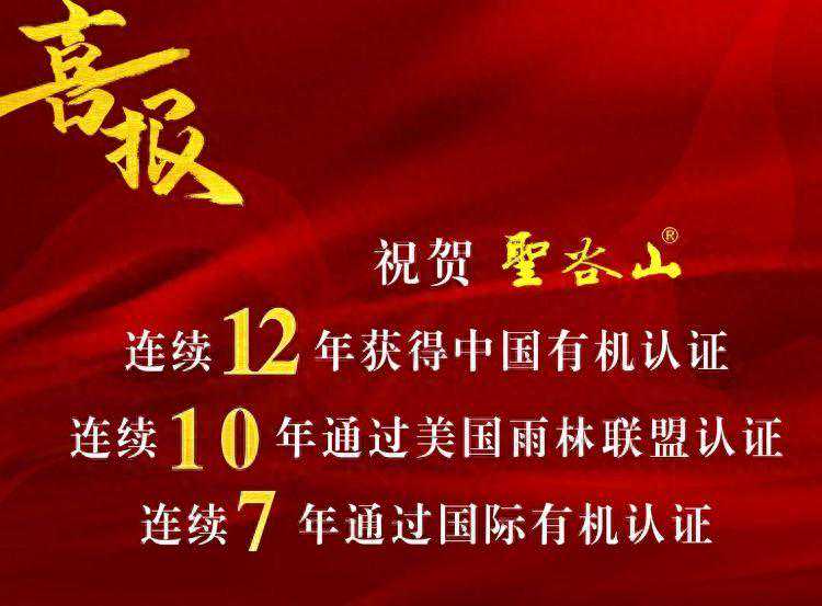 圣谷山2024年|心怀暖阳 逐光而行