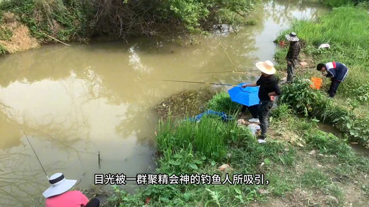 阳光明媚，暖煦怡人