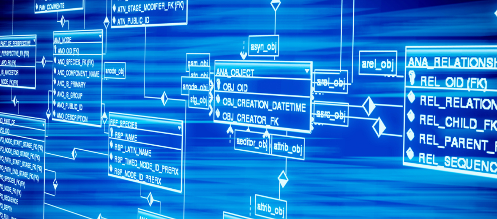 冬日暖胃家常饭菠菜麻什