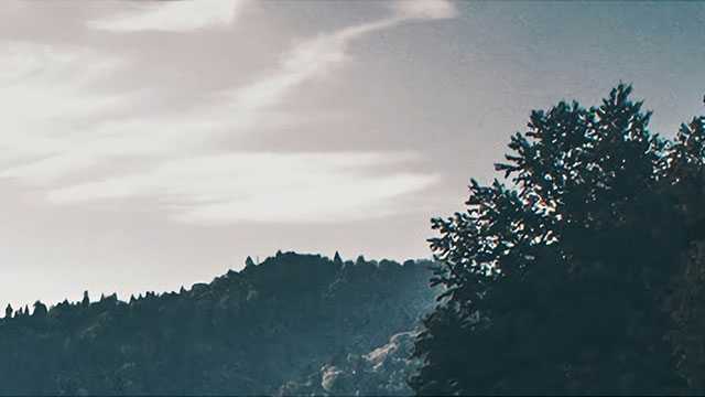 新政半月，深圳二手楼市暖了？看房飙升7成，成交同比增两倍